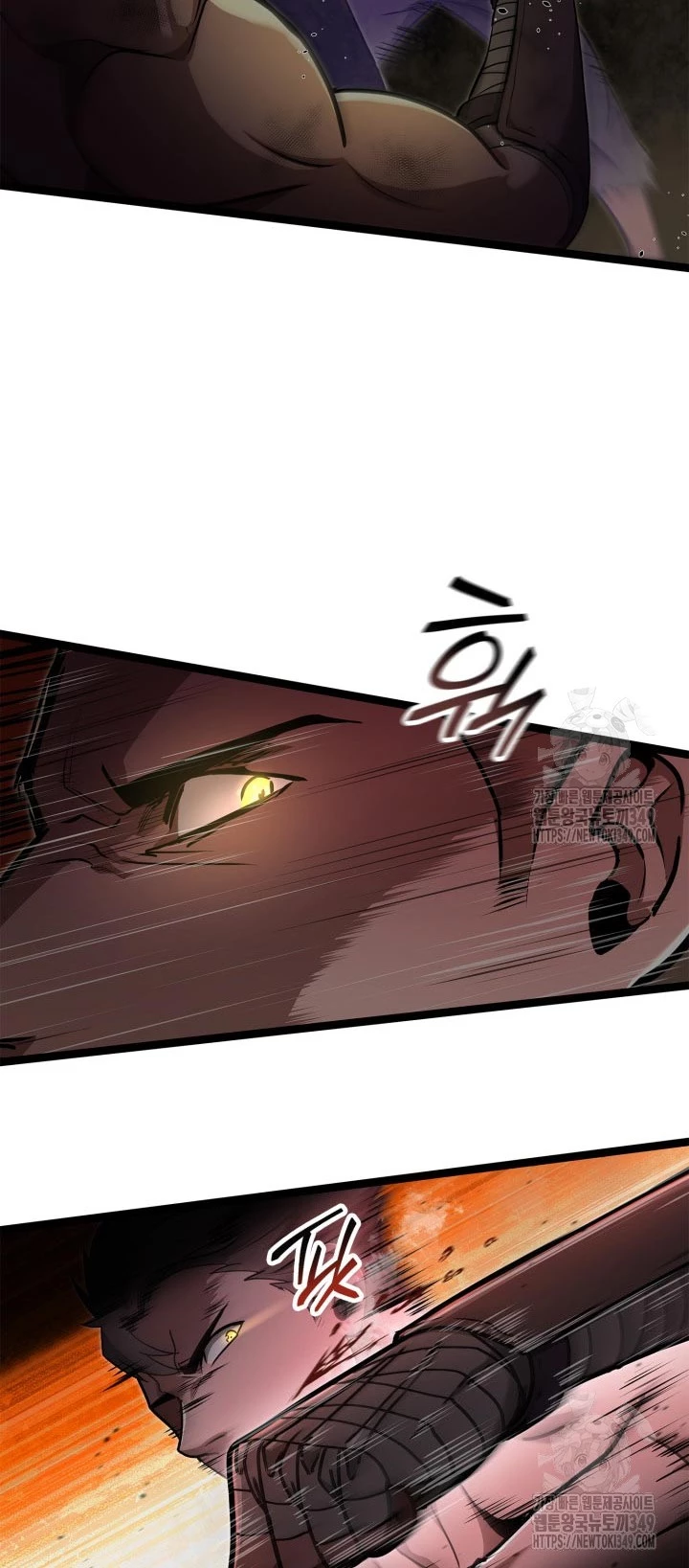 Nhà Vô Địch Kalli Chapter 77 - Trang 4