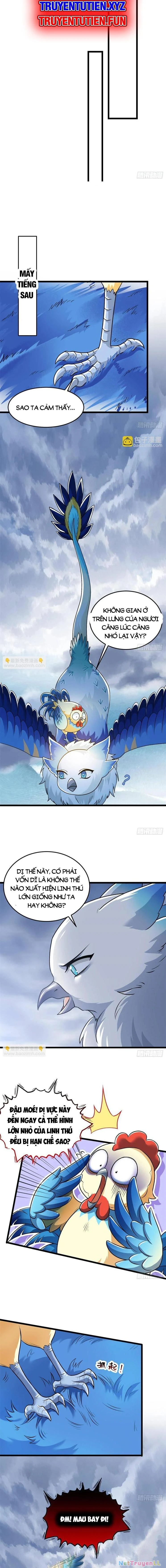 Cường Giả Đến Từ Trại Tâm Thần Chapter 287 - Trang 4