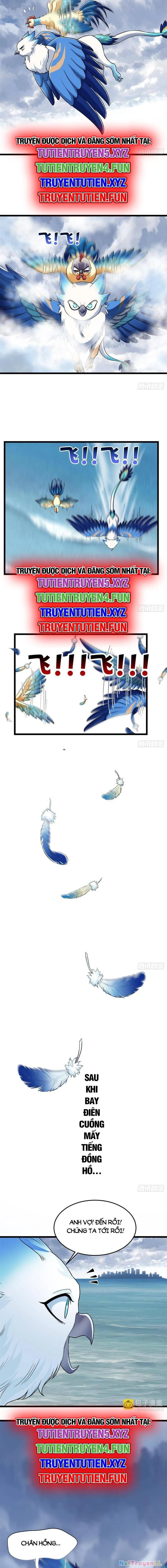 Cường Giả Đến Từ Trại Tâm Thần Chapter 287 - Trang 4