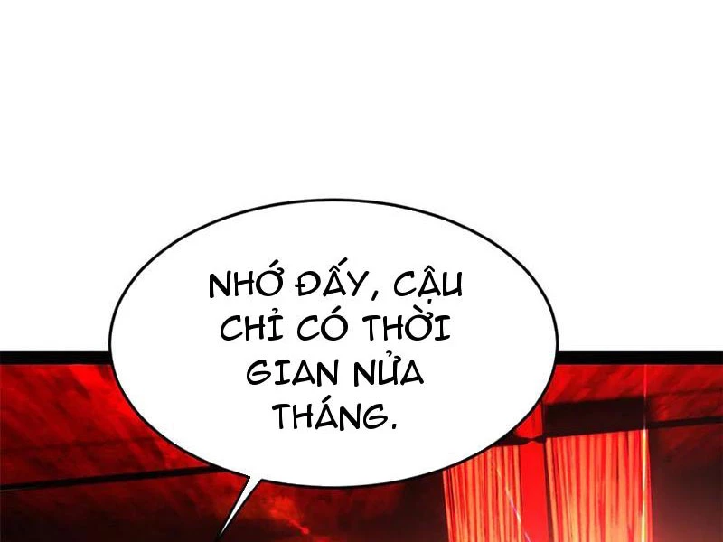 Chàng Rể Mạnh Nhất Lịch Sử Chapter 221 - Trang 4