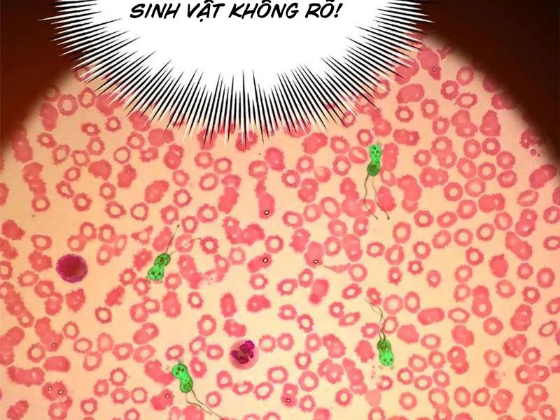 Chàng Rể Mạnh Nhất Lịch Sử Chapter 221 - Trang 4