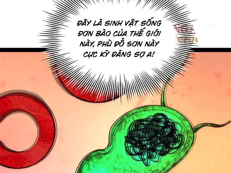 Chàng Rể Mạnh Nhất Lịch Sử Chapter 221 - Trang 4