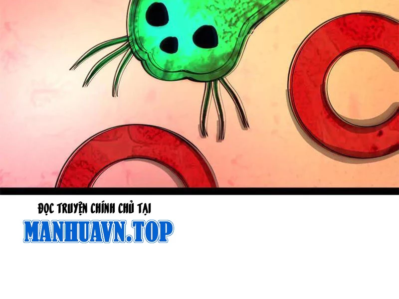 Chàng Rể Mạnh Nhất Lịch Sử Chapter 221 - Trang 4