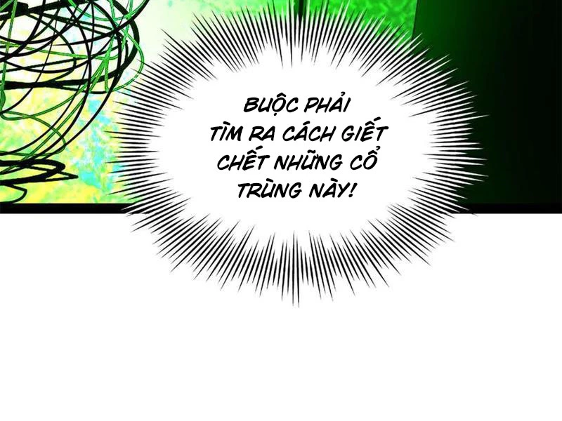 Chàng Rể Mạnh Nhất Lịch Sử Chapter 221 - Trang 4