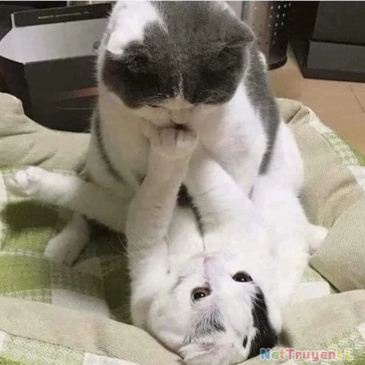 Mùa Hè Dài Ngày 31 Tháng 8 Chapter 17 - Trang 4