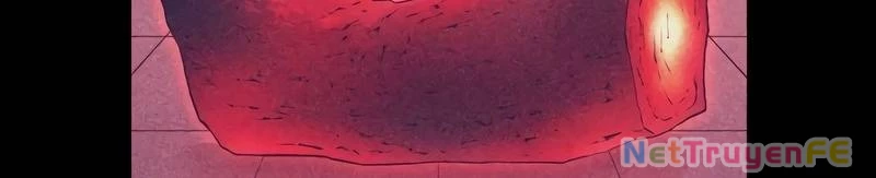 Mình Tao Là Siêu Việt Giả Mạnh Nhất! Chapter 15 - Trang 2