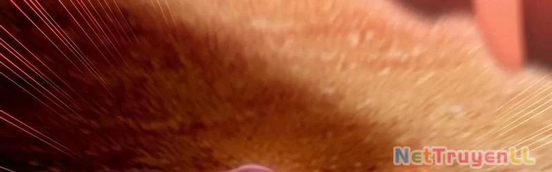 Mình Tao Là Siêu Việt Giả Mạnh Nhất! Chapter 16 - Trang 2