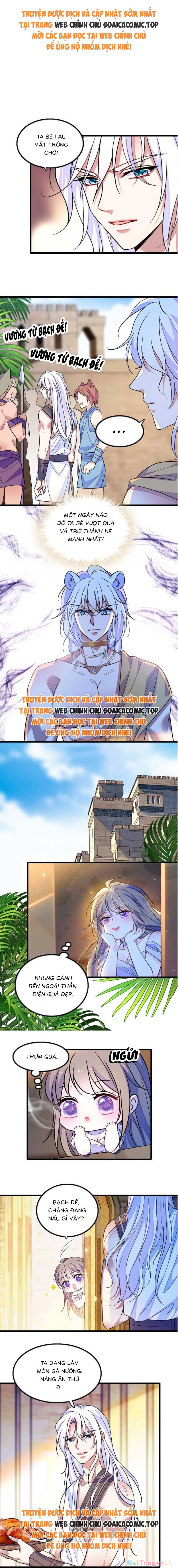 Manh Động Thú Thế Chapter 164 - Trang 4