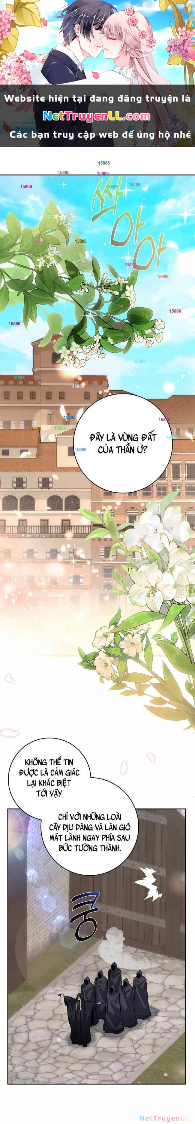 Cháu Trai Thánh Đế Là Tử Linh Sư Chapter 50 - Trang 4
