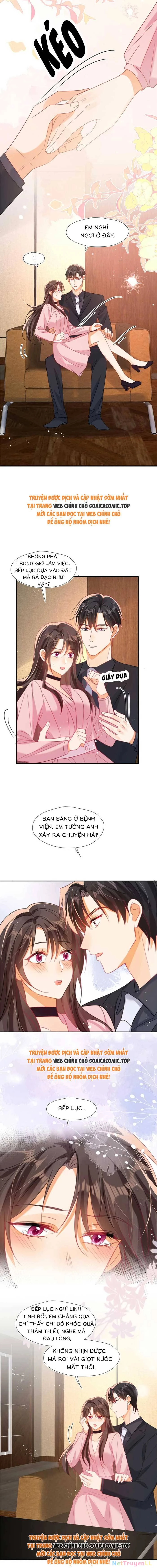 Cùng Lục Gia Yêu Đương Vụng Trộm Chapter 88 - Trang 4