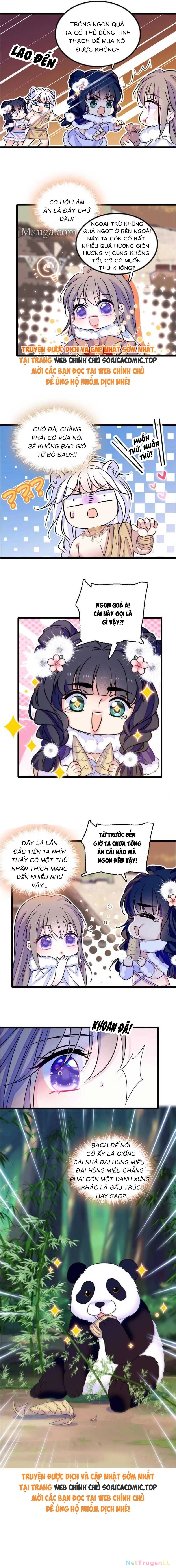 Manh Động Thú Thế Chapter 166 - Trang 4