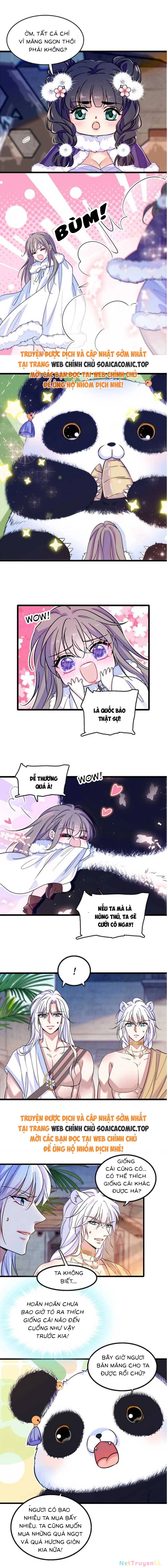 Manh Động Thú Thế Chapter 167 - Trang 4