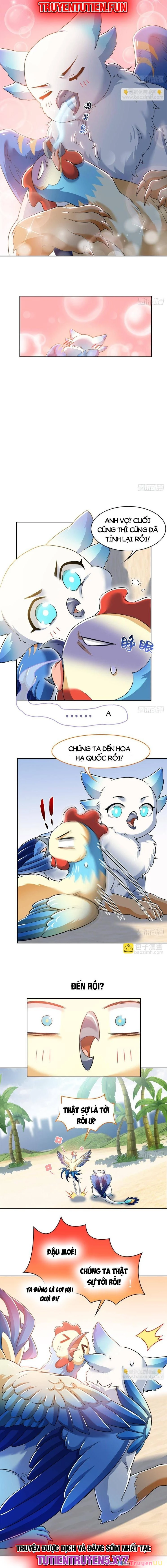 Cường Giả Đến Từ Trại Tâm Thần Chapter 288 - Trang 4