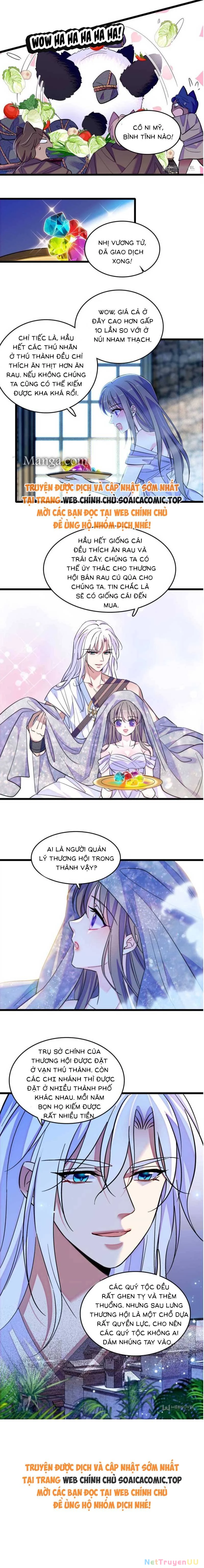 Manh Động Thú Thế Chapter 169 - Trang 4