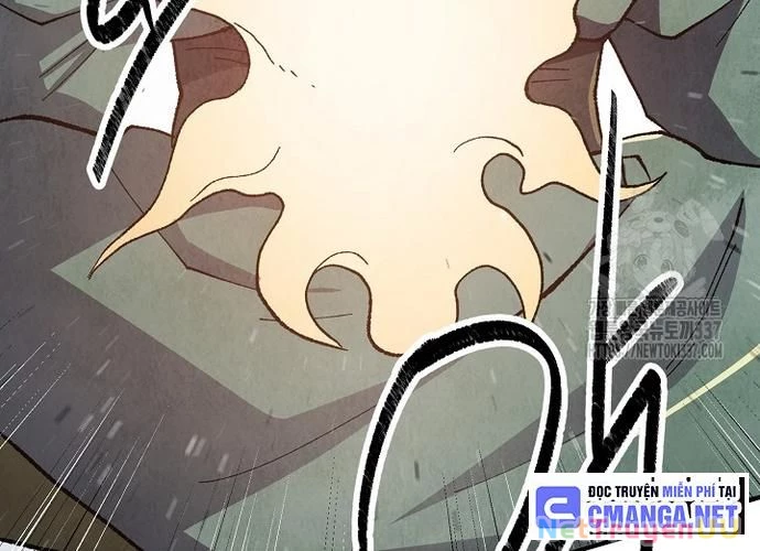 Ngoại Tôn Thiên Tài Của Nam Cung Thế Gia Chapter 18 - Trang 3