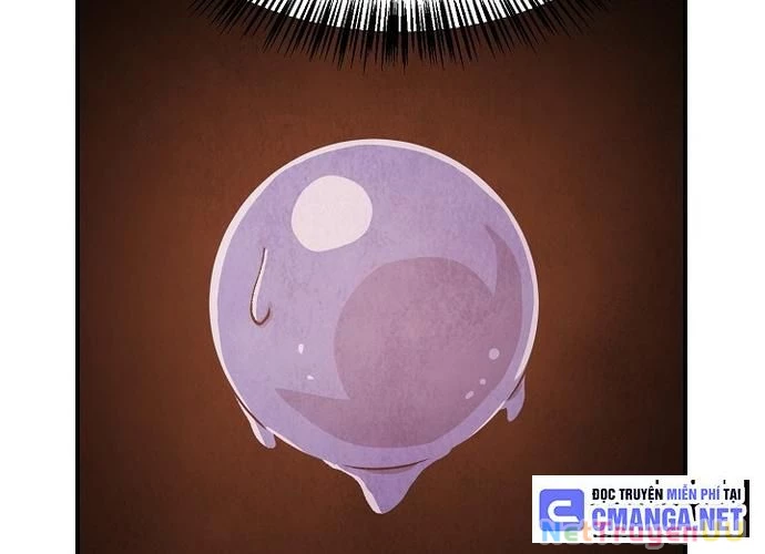 Ngoại Tôn Thiên Tài Của Nam Cung Thế Gia Chapter 18 - Trang 3