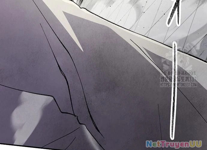 Ngoại Tôn Thiên Tài Của Nam Cung Thế Gia Chapter 19 - Trang 3