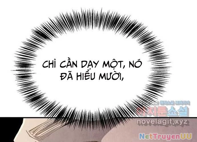 Ngoại Tôn Thiên Tài Của Nam Cung Thế Gia Chapter 21 - Trang 3