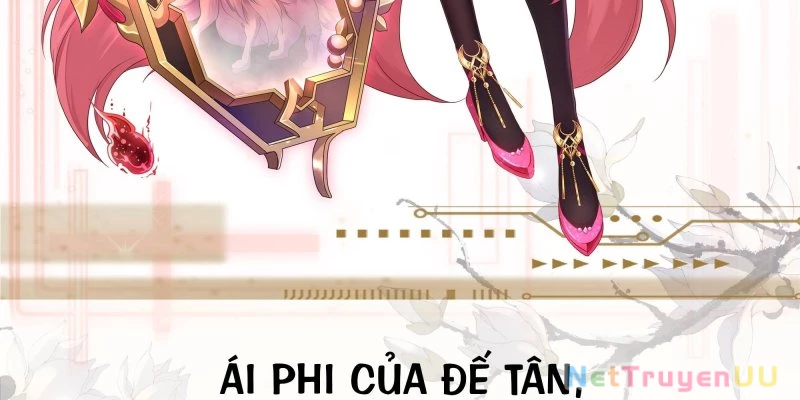 Tán Nhân Vô Địch Tái Sinh Vào Phong Thần Bảng Chapter 0 - Trang 2