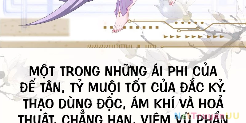 Tán Nhân Vô Địch Tái Sinh Vào Phong Thần Bảng Chapter 0 - Trang 2