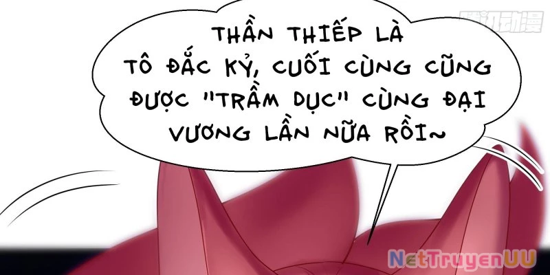 Tán Nhân Vô Địch Tái Sinh Vào Phong Thần Bảng Chapter 1 - Trang 2