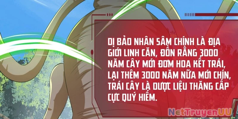 Tán Nhân Vô Địch Tái Sinh Vào Phong Thần Bảng Chapter 3 - Trang 2