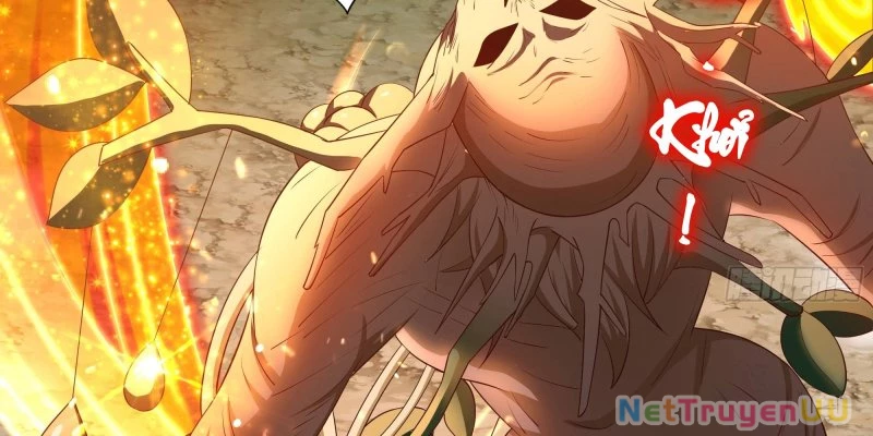 Tán Nhân Vô Địch Tái Sinh Vào Phong Thần Bảng Chapter 4 - Trang 2