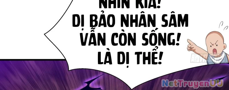 Tán Nhân Vô Địch Tái Sinh Vào Phong Thần Bảng Chapter 4 - Trang 2