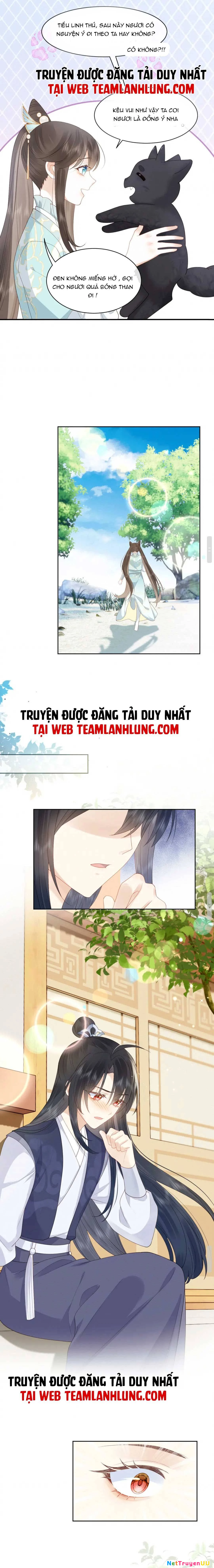 Xuyên Vào Tiểu Thuyết : Ta Bảo Vệ Phu Quân Ốm Yếu Đáng Thương Chapter 5 - Trang 2