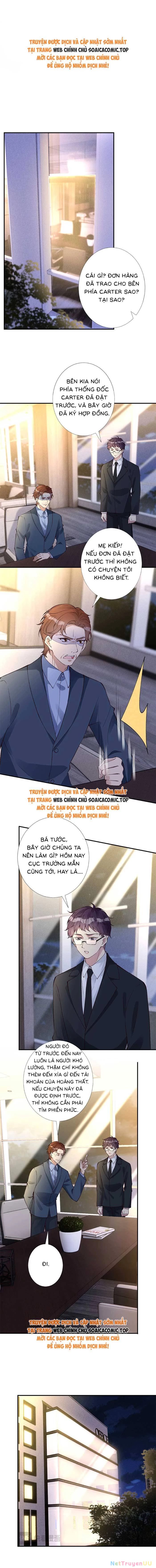 Ôm Khẩn Tiểu Mã Giáp Của Tôi Chapter 325 - Trang 4
