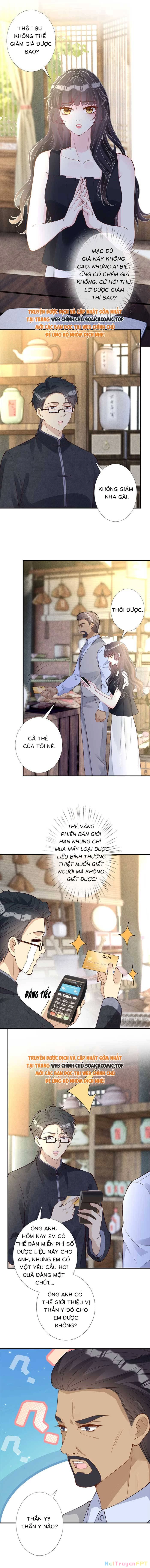Ôm Khẩn Tiểu Mã Giáp Của Tôi Chapter 326 - Trang 4