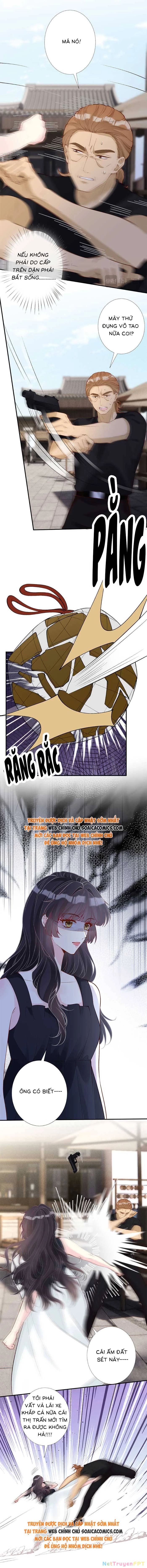 Ôm Khẩn Tiểu Mã Giáp Của Tôi Chapter 327 - Trang 4