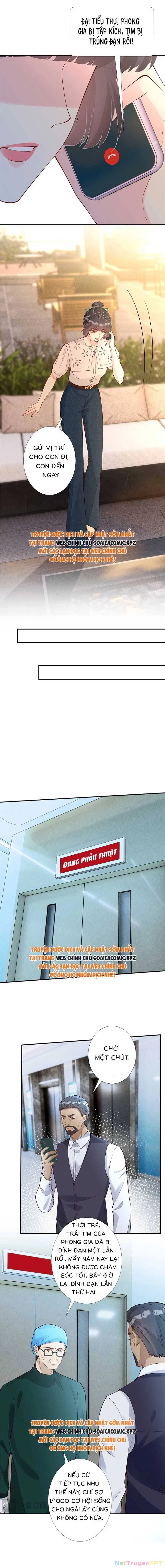 Ôm Khẩn Tiểu Mã Giáp Của Tôi Chapter 328 - Trang 4
