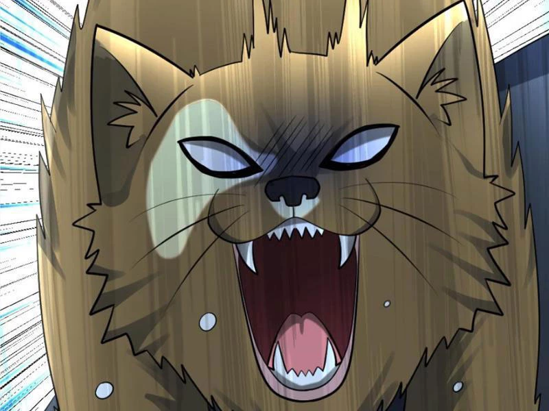 Toàn Cầu Băng Phong: Ta Chế Tạo Phòng An Toàn Tại Tận Thế Chapter 426 - Trang 4