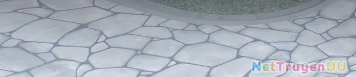 Sát Thủ Mạnh Nhất Chuyển Sinh Sang Thế Giới Khác Chapter 45 - Trang 2