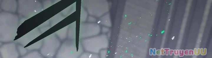 Sát Thủ Mạnh Nhất Chuyển Sinh Sang Thế Giới Khác Chapter 45 - Trang 2