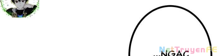 Sát Thủ Mạnh Nhất Chuyển Sinh Sang Thế Giới Khác Chapter 47 - Trang 2