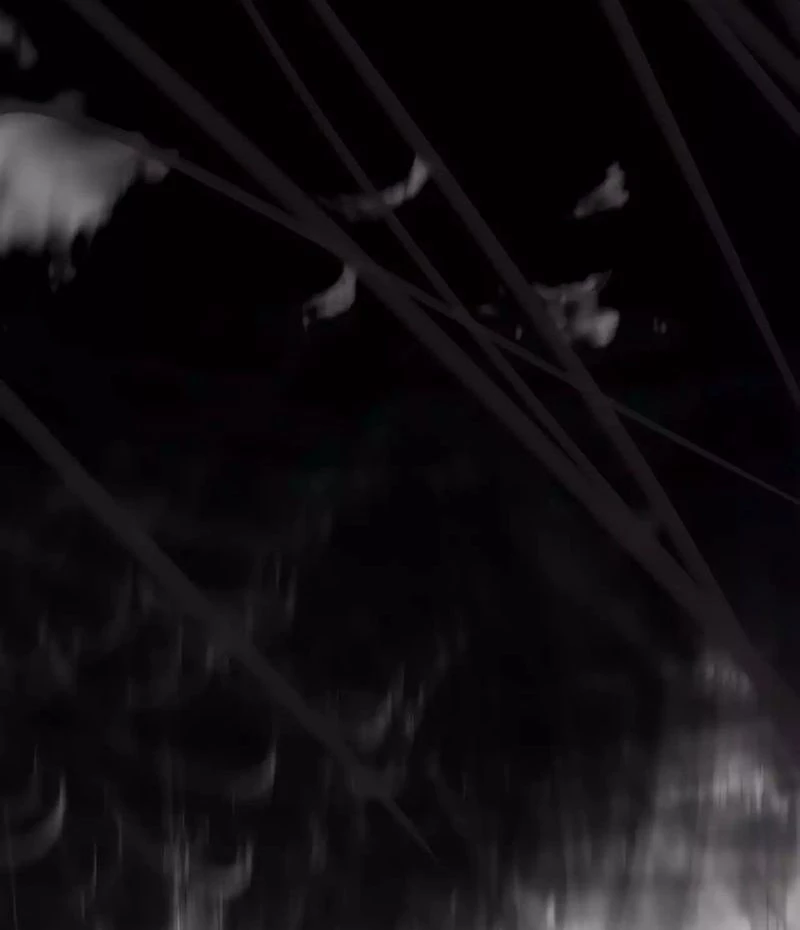 Đại Pháp Sư Mở Nhà Hàng Chapter 45 - Trang 4