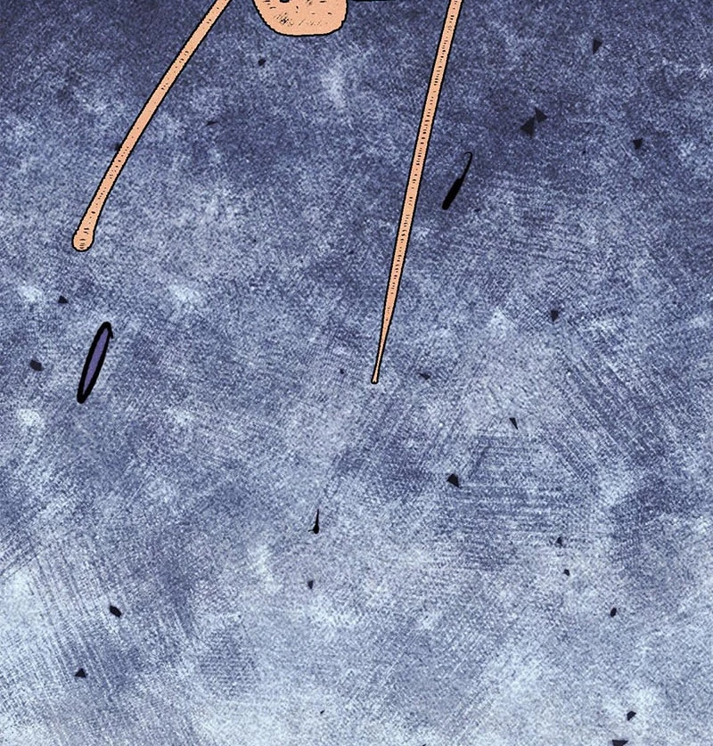 Vạn Cổ Tối Cường Tông Chapter 355 - Trang 4