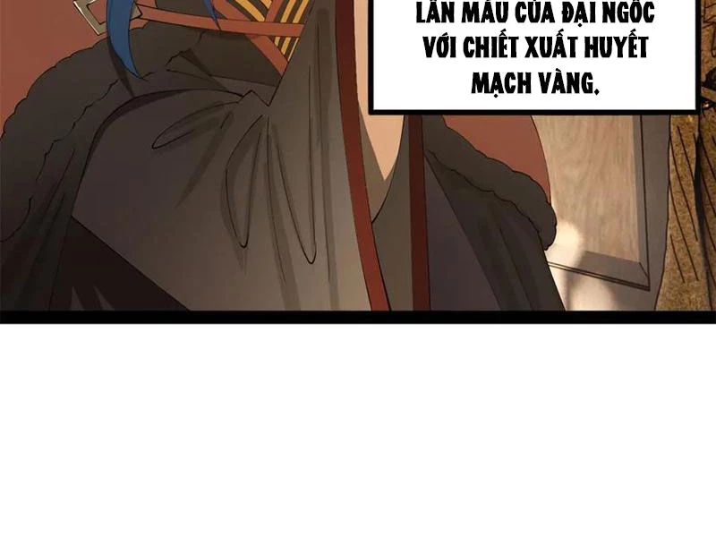 Chàng Rể Mạnh Nhất Lịch Sử Chapter 225 - Trang 4