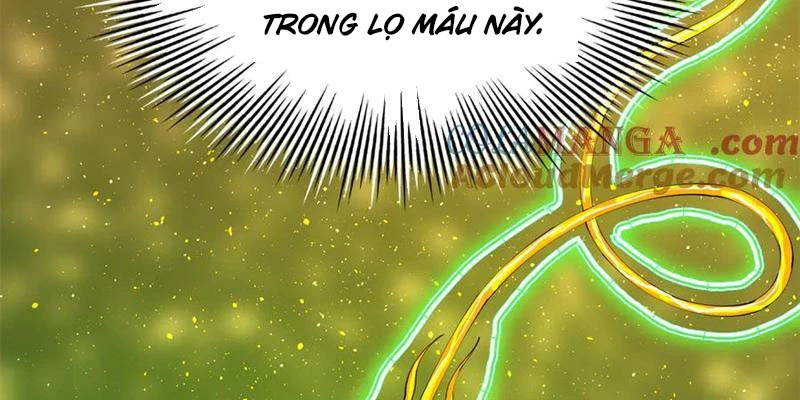 Chàng Rể Mạnh Nhất Lịch Sử Chapter 225 - Trang 4