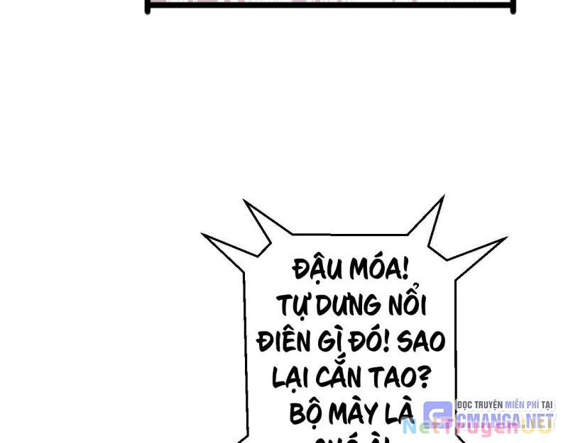 Mạt Thế Trọng Sinh: Ta Quay Gacha Làm Trùm! Chapter 7 - Trang 3