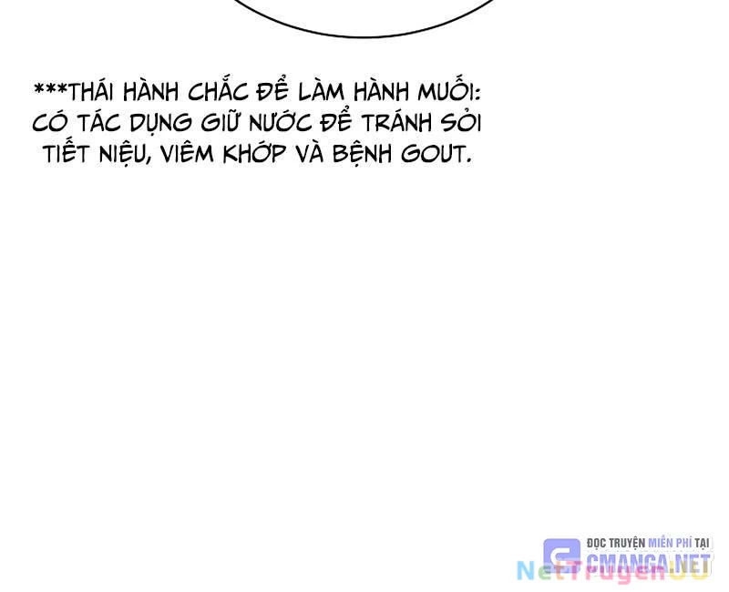 Nhà Vật Lý Trị Liệu Thần Kỳ Chapter 44 - Trang 2