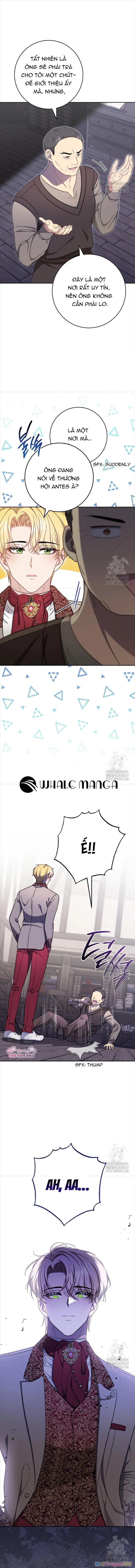 Nam chính? Có cho cũng không thèm Chapter 17 - Trang 2