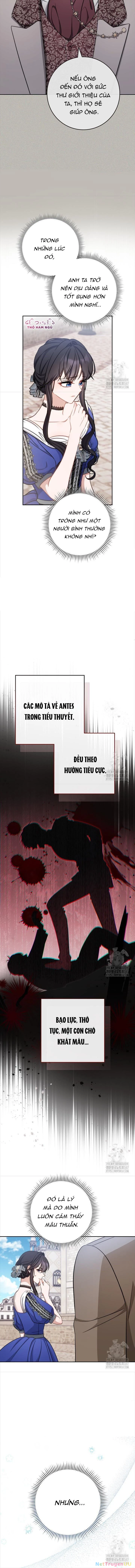 Nam chính? Có cho cũng không thèm Chapter 17 - Trang 2