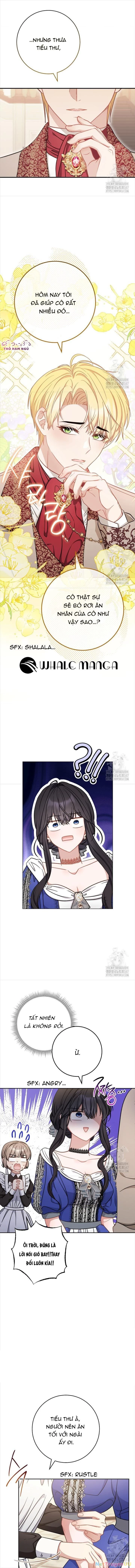 Nam chính? Có cho cũng không thèm Chapter 17 - Trang 2