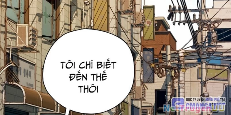 Nhìn Trước Tương Lai Chapter 24 - Trang 2