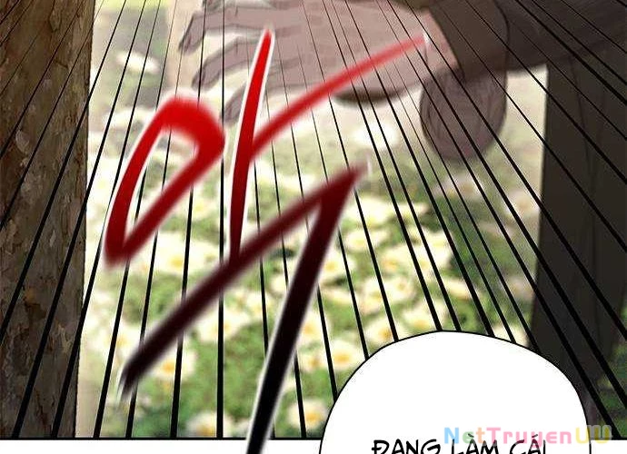 Nhìn Trước Tương Lai Chapter 25 - Trang 2