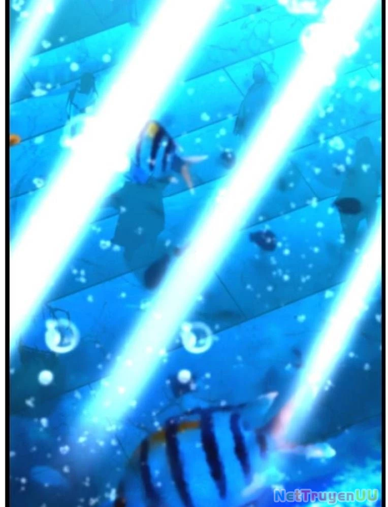 Phòng Gym Hanlim Chapter 192 - Trang 4