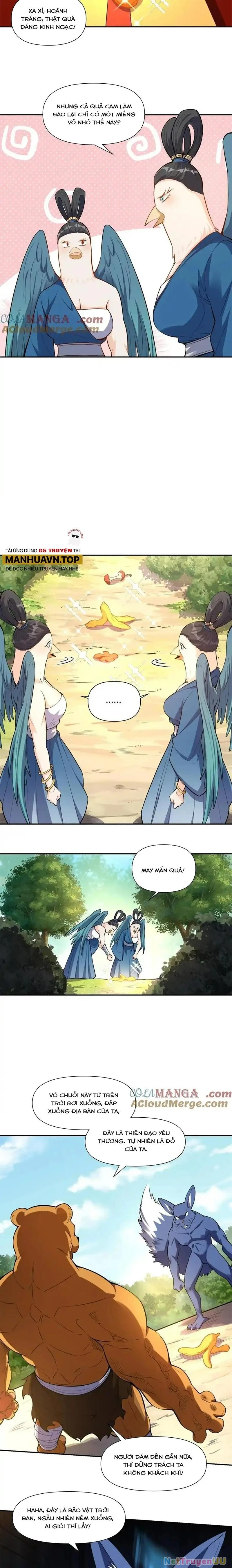 Nguyên Lai Ta Là Tu Tiên Đại Lão Chapter 455 - Trang 4